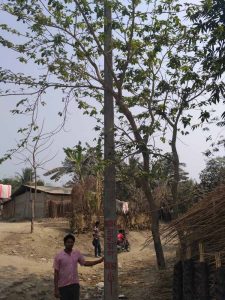 Abandoned post once erected for electric cables in Char Kurmipara.NfN Picture
