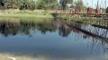 Villagers crossing the polluted Churni river course in Majhdia using a bamboo bridge. Picture by PRANAB DEBNATH