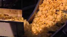 Potato chips being made (representational picture)