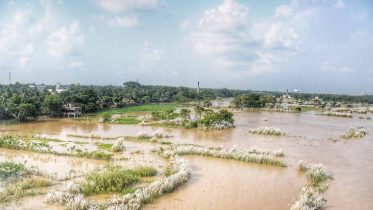 Inundated areas in Mayapur. Picture by Pranab Debnath