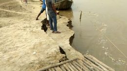 Chunk of embankment being lost in Hooghly river course