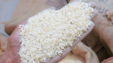 Rotten rice at a ration shop in Karimpur