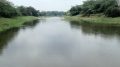 A polluted stretch of Churni river