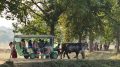 The newly introduced card during a ride inside IISKCON premise in Mayapur