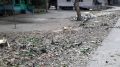 Stumps of the felled trees on the adjacent land of the existing Chakdaha-Bongaon road proposed to be widened