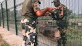 BSF personnel installing a beehive to the smart fencing along Indo-Bangladesh border near Gede in Nadia